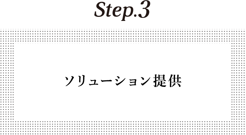 ソリューション提供